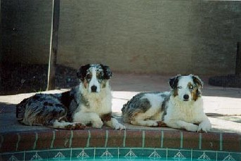 annieandautie.jpg